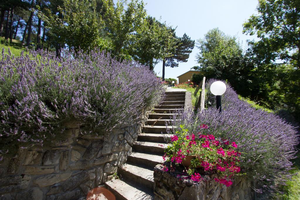Antico Borgo I Cancelli Palazzuolo Sul Senio Exterior foto